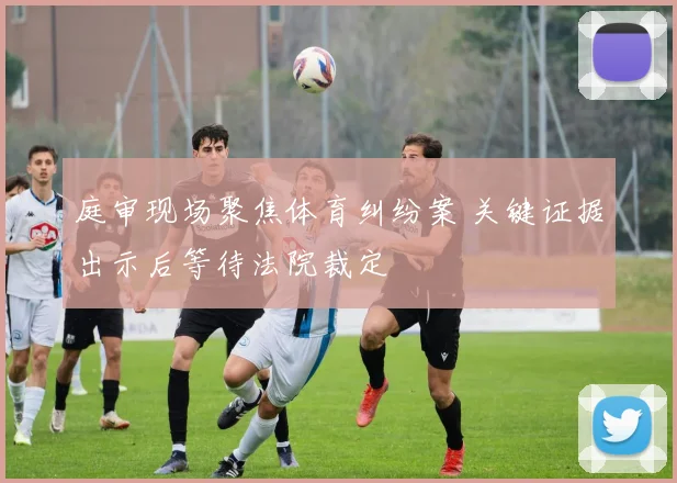 庭审现场聚焦体育纠纷案 关键证据出示后等待法院裁定